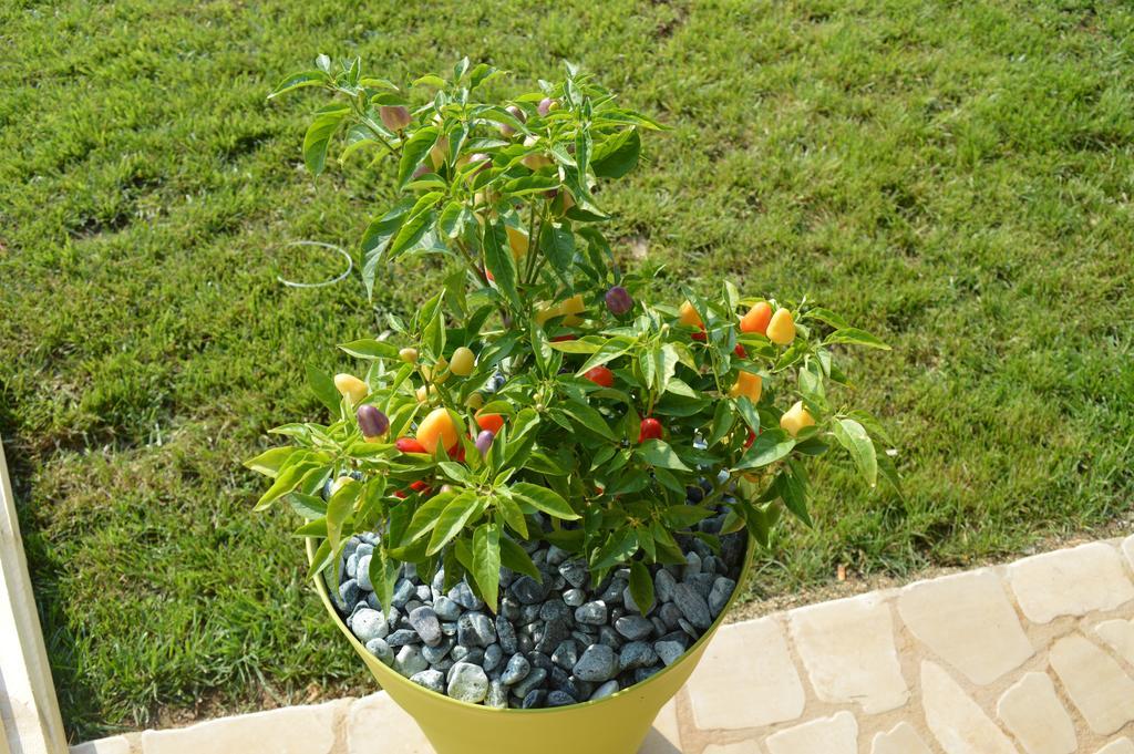 Agriturismo Casa Del Peperoncino Otranto Esterno foto